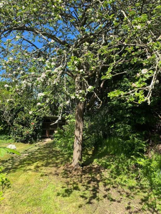 Jolie Maison A La Campagne « Chez Germaine » Digosville Zewnętrze zdjęcie